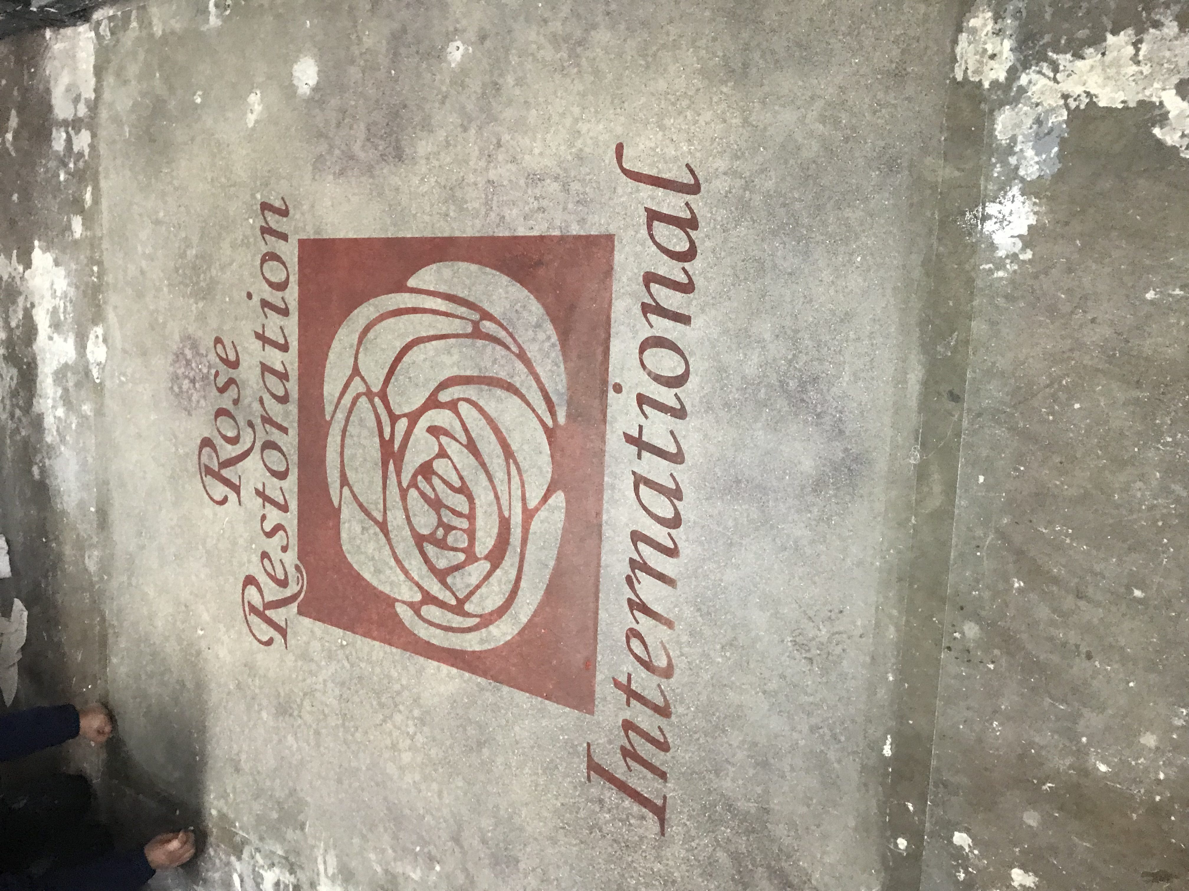 Rose Restoration logo in red on polished concrete