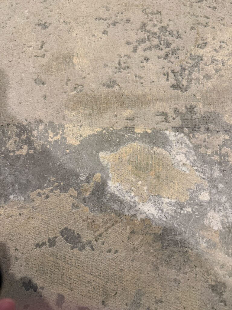 Concrete 041 Img 5369 | Rose Restoration