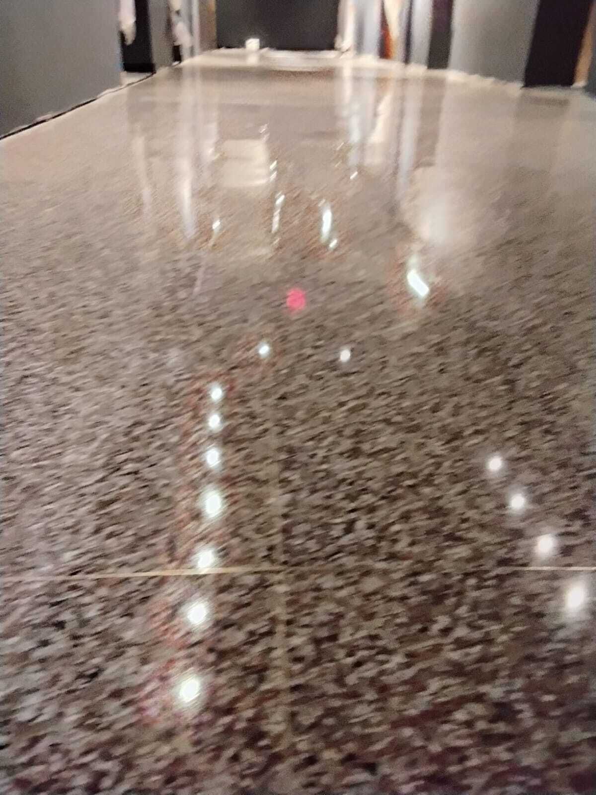 Restored terrazzo hallway showing the aggregate through a polished finish