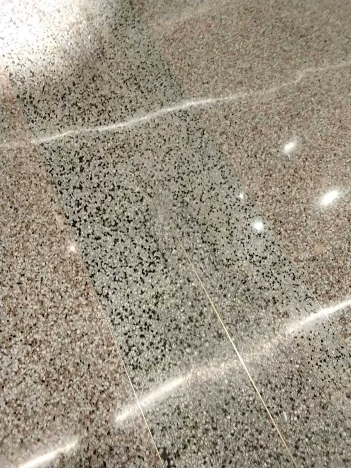 Polished terrazzo floor reflecting overhead light after restoration by Rose Restoration