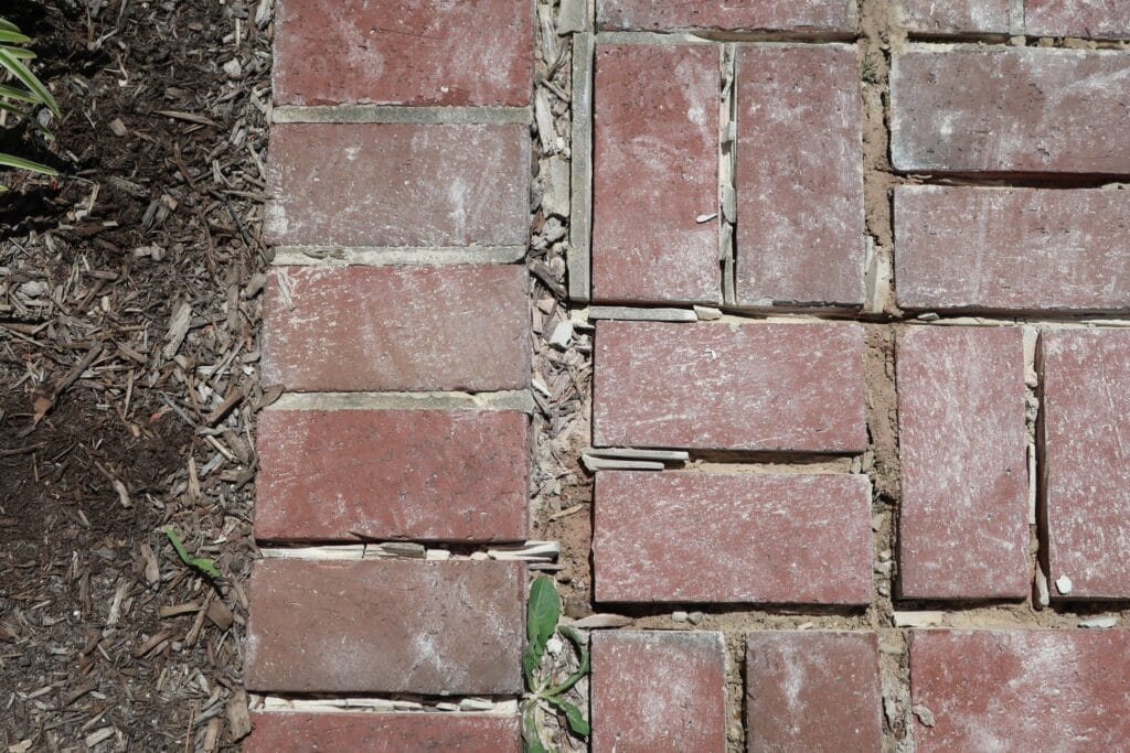 Brick pavers with mortar joints