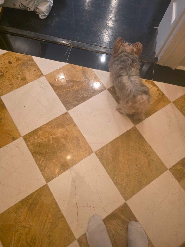 Checkered marble floor from a Rose Restoration job in Washington, DC