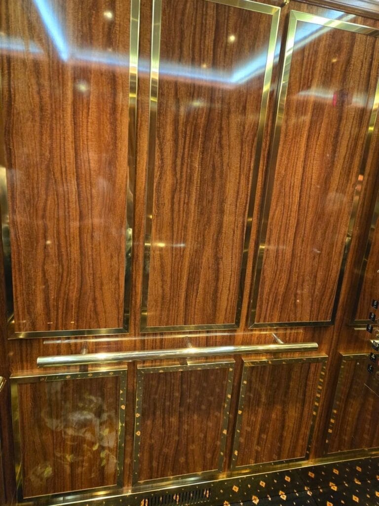 Figured wood veneer wall panels with polished brass trim