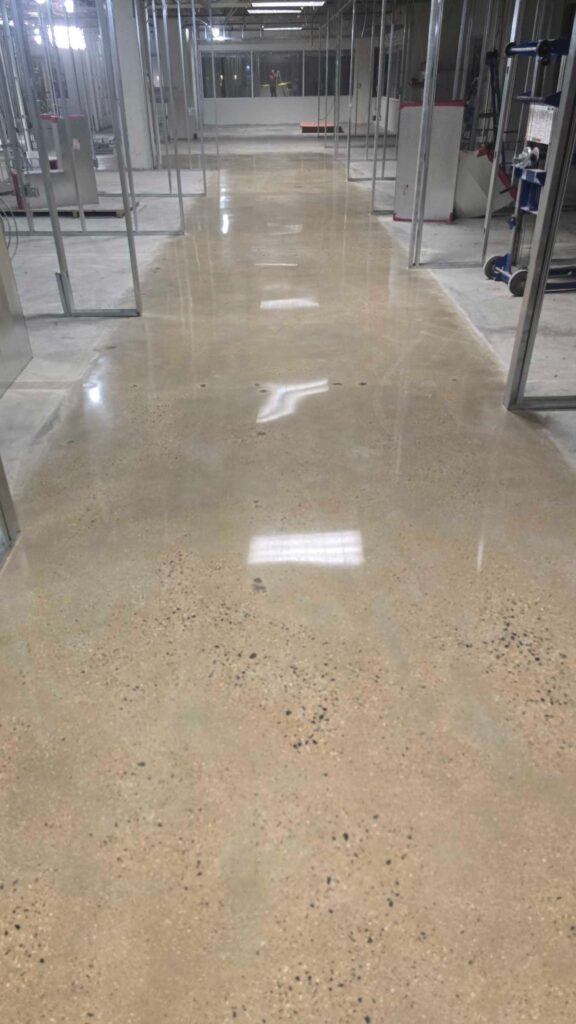Polished concrete floor with speckles from a Rose Restoration job in Arlington, VA