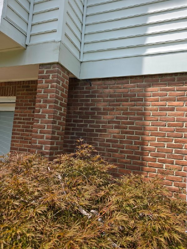 Brick wall with white trim, Rose Restoration project