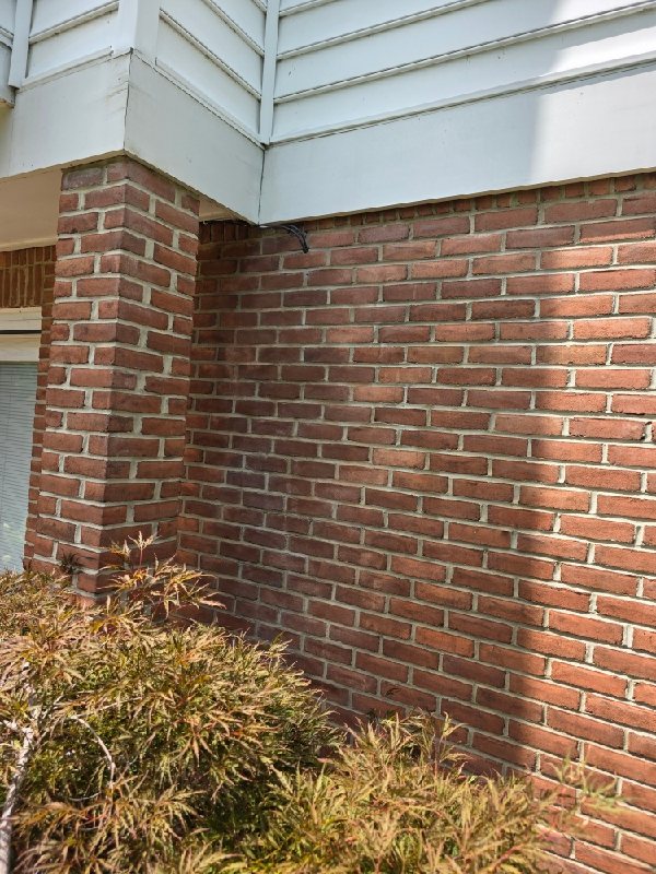 Red brick wall with white trim, Rose Restoration project
