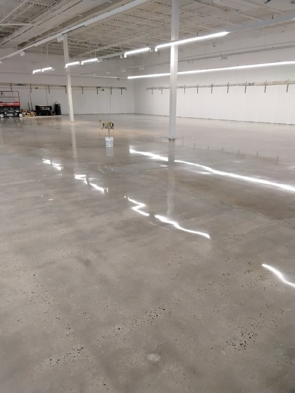 Polished concrete sales floor, Lidl Falls Church, 2026