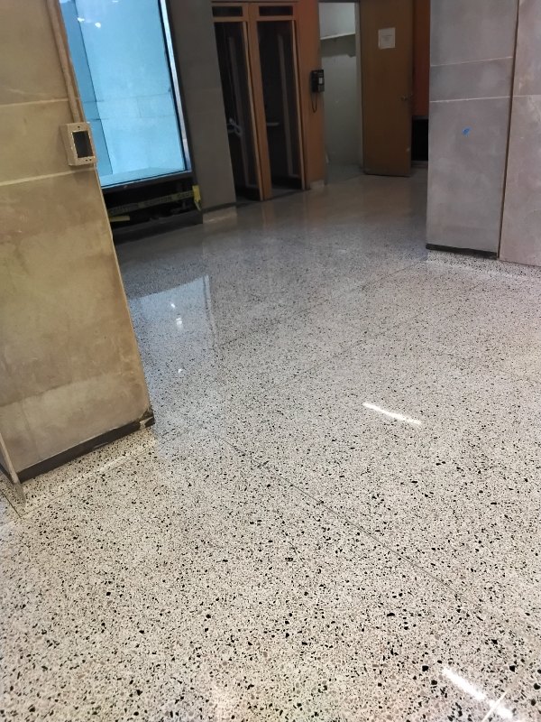 Polished terrazzo floor at a federal research campus, Rose Restoration project