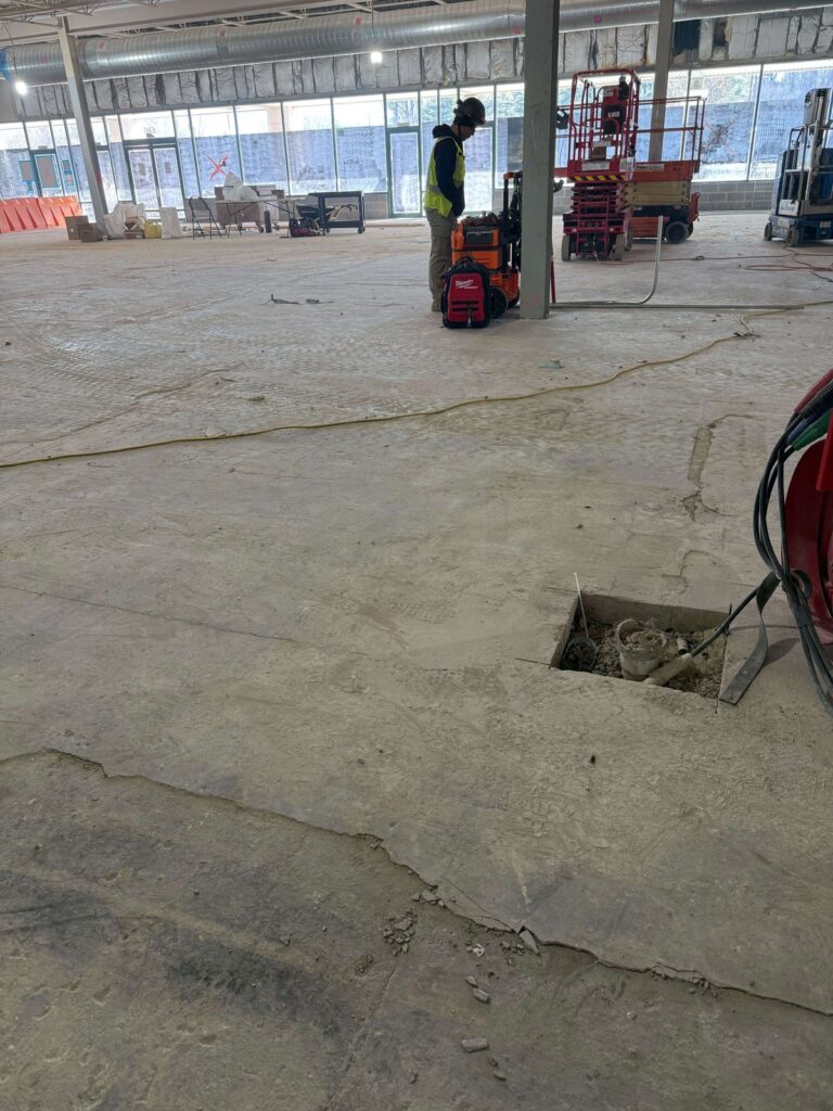 Rose crew grinding the slab, Lidl Falls Church, 2026