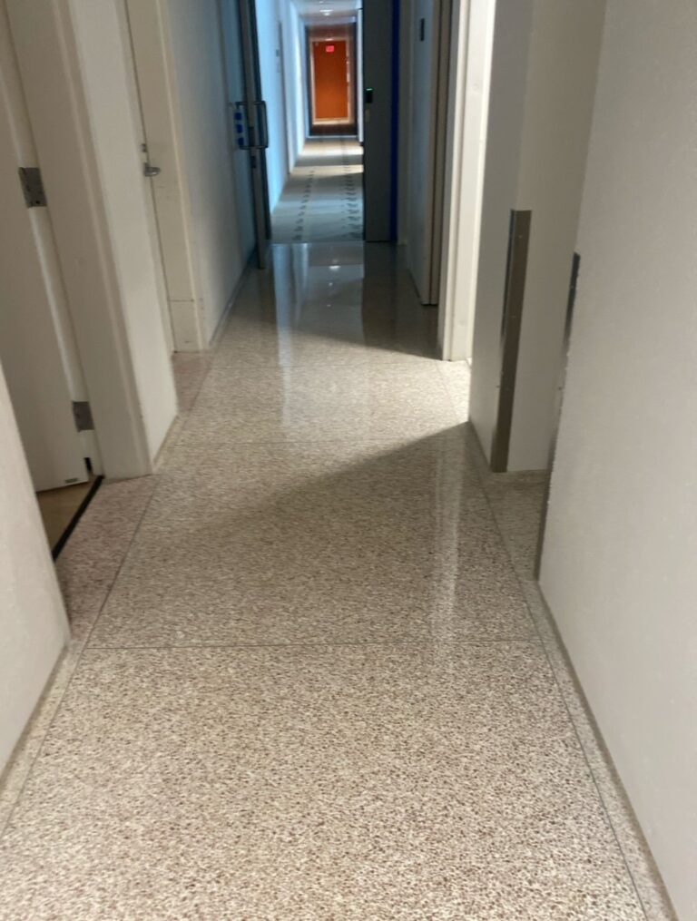 Stone hallway floor in an embassy, Rose Restoration project