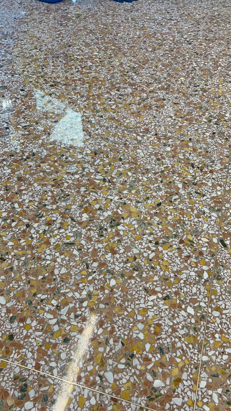 Terrazzo floor with mosaic stones, Rose Restoration project