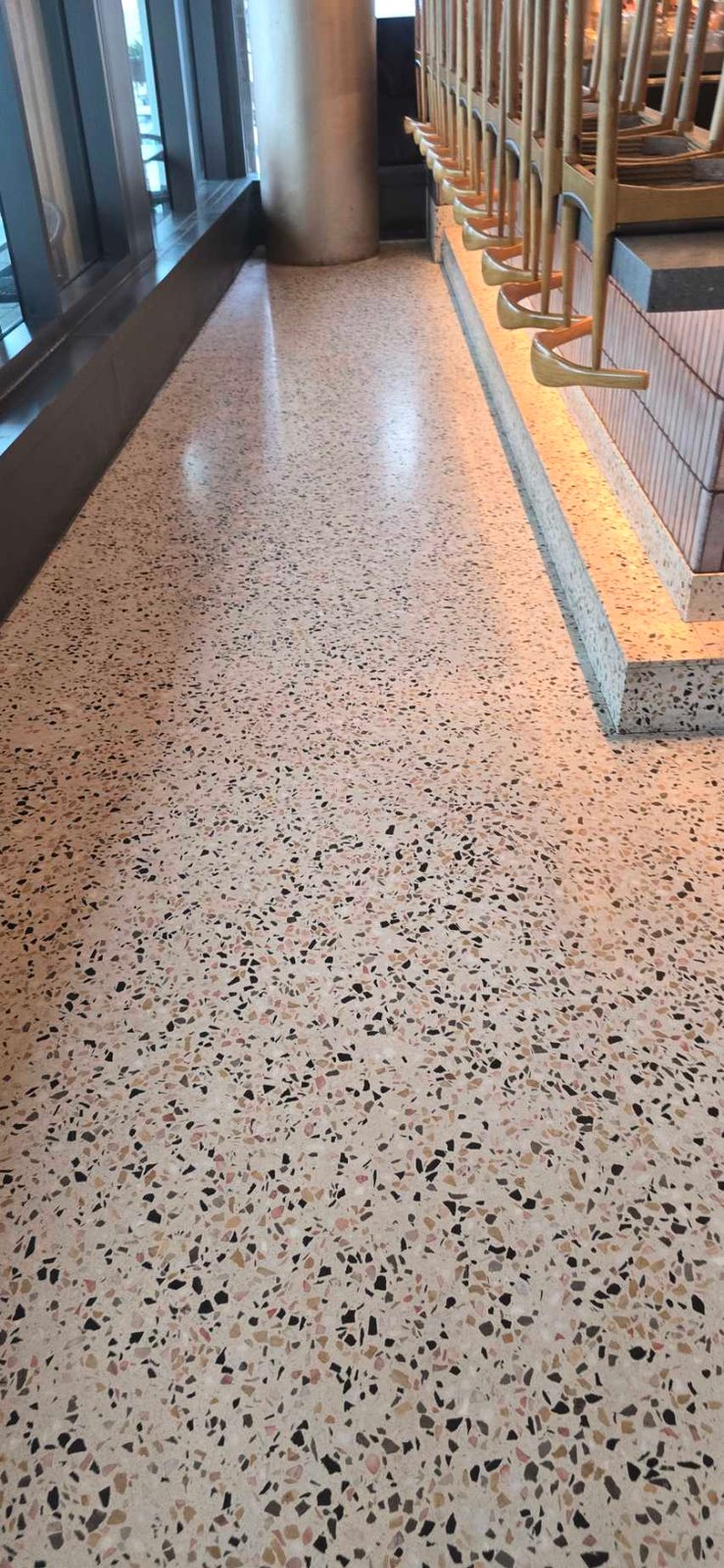 Terrazzo floor with speckled pattern, Rose Restoration project